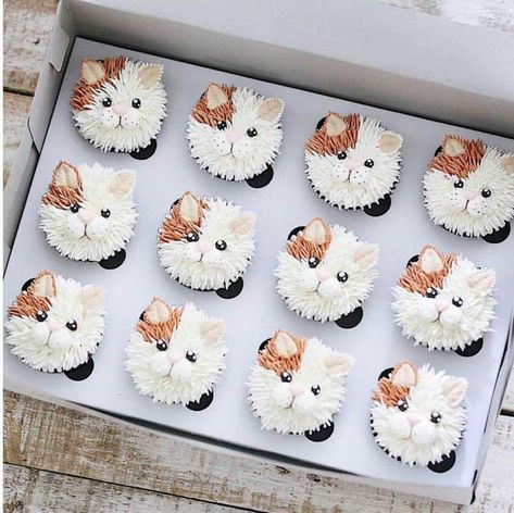 Frost Cupcakes, Kitty Cupcakes, Cupcakes Design, Cat Cupcakes, Cupcake Cake Designs, Animal Cupcakes, Tres Leches Cake, Cat Birthday Party, Animal Cakes