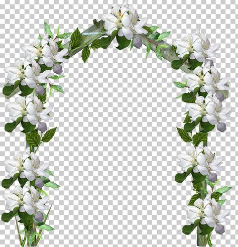 White Flower Arch, Vine Arch, Arch Illustration, Arch Drawing, Family Flowers, Photoshop Software, Flower Arch, Raster Graphics, December 17