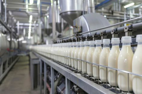 Production line of milk and yogurt at dairy processing plant royalty free stock images Milk Processing Plant, Milk Ideas, Milk Factory, Factory Photography, Milk Processing, Milk Dairy, Dairy Industry, Dash Diet, Fresh Milk