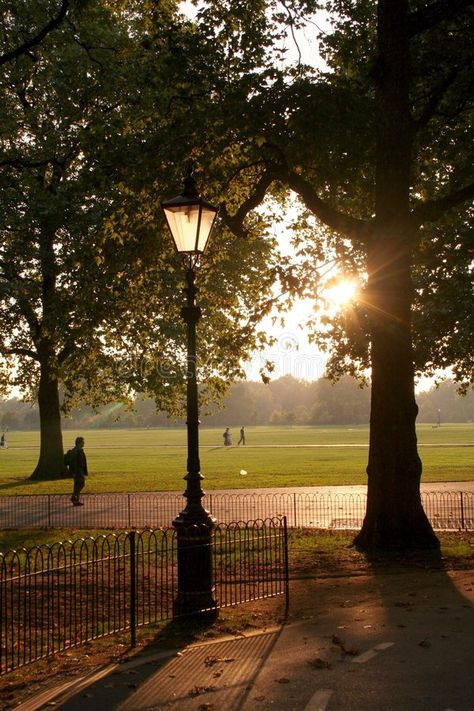 Park Sunset, Study In London, Life In The Uk, Digital Design Trends, Hyde Park London, London Aesthetic, Park Pictures, Uk Holidays, Autumn Park