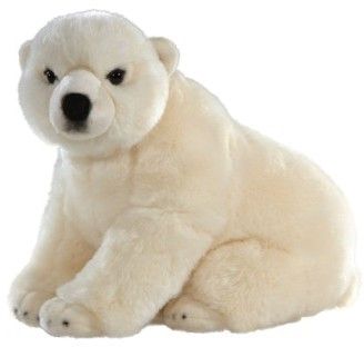 Stuffed Polar Bear, Realistic Stuffed Animals, Arctic Fox, Cute Stuffed Animals, Bear Stuffed Animal, Animals Friends, Soft Toy, Animals For Kids, Polar Bear