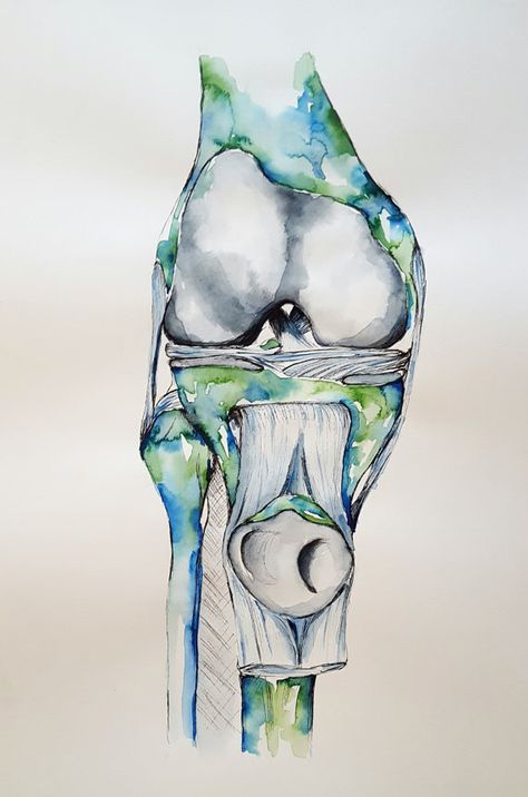 Watercolour Anatomy Art Knee by AlmostAnatomical on Etsy Anatomy Painting Ideas, Muscle Anatomy Art, Painting Anatomy, Muscles Art, Muscles Illustration, Anatomy Canvas Painting, Knee Anatomy Drawing, Medical Painting, Human Anatomy Art Artworks