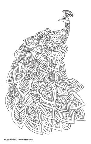 Color Animals — Jess Volinski Jess Volinski, Peacock Coloring Pages, Peacock Drawing, Desain Quilling, Peacock Art, Mandala Art Lesson, Pola Sulam, Mandala Design Art, Mandala Coloring Pages