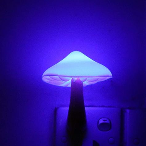 Amazon.com: Blue Led Nigh Light,Plug in Nightlight, Dusk to Dawn Sensor Night Lights for Kids Adults Bedroom, Bathroom,Toilet,Stairs,Kitchen,Hallway Christmas Thanksgiving Gifts : Everything Else Preppy Birthday Gifts, Night Lights For Kids, Adults Bedroom, Bathroom Night Light, Stairs In Kitchen, Blue Mushroom, Stair Lights, Mushroom Lights, Sensor Night Lights