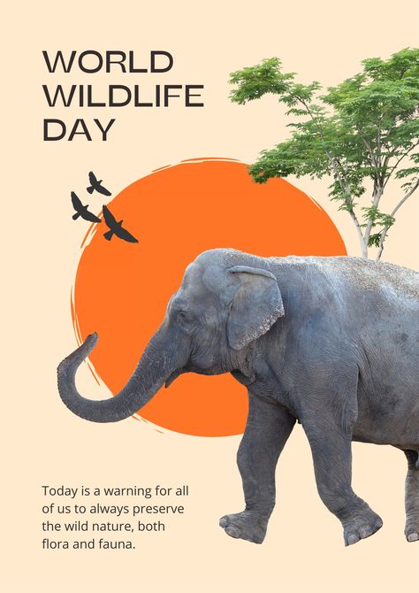 World Elephant Day Poster, Animal Campaign Poster, Safari Poster Design, Save Animals Poster Design, Jiji Background, Animal Day Poster, Wildlife Day Poster, Zoo Advertising, Wildlife Infographic