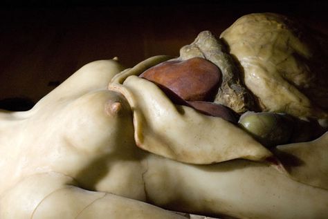 "Exquisite Bodies" Wax Anatomical Wellcome Feeling Faint, Anatomy Lessons, Medical Profession, Wellcome Collection, Body Waxing, Human Being, Anatomy Art, Ceramic Sculpture, Anatomy