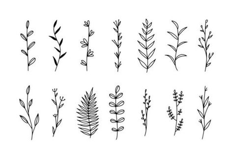 simple vector illustration Doodle settwigs, drawing sprigs of plants drawn by a liner. outline of plants with leaves. graphic design element isolated on white background. 10361082 Vector Art at Vecteezy Simple Plant Illustration, Plant Drawings Simple, Leaves Graphic Design, Line Art Floral, Botanical Line Art, Illustration Doodle, Line Art Vector, Graphic Design Elements, Floral Leaves