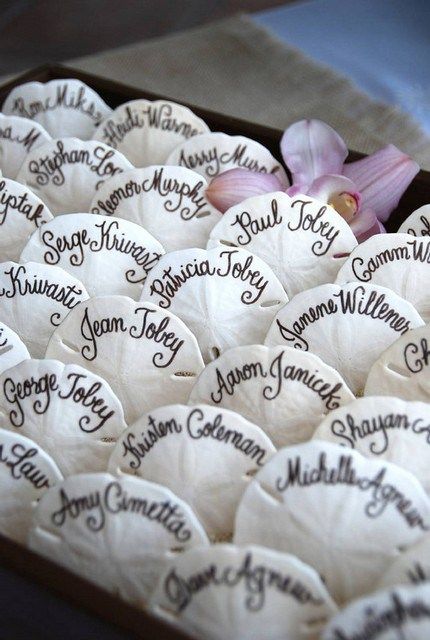 Sand Dollar Wedding, Diy Beach Wedding, Pink Bride, Sand Dollars, Beach Wedding Favors, Beach Theme Wedding, Nautical Wedding, Wedding Diy, Fashion Diy