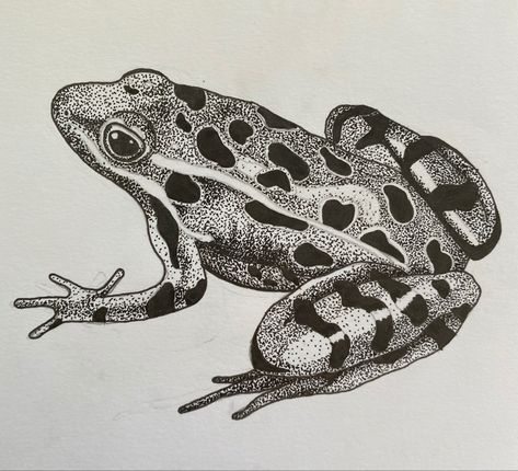 Mr Frog, Frog Sketch, Frog Tattoo, Club Tattoo, Dotted Drawings, Self Love Tattoo, Stippling Art, Shape Tattoo, Frog Tattoos