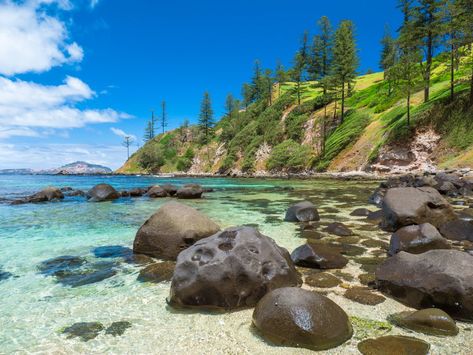 Norfolk Island, Glass Bottom Boat, Adventure Of The Seas, Romantic Escapes, Island Holiday, Secluded Beach, Romantic Getaway, Island Tour, Daily Grind