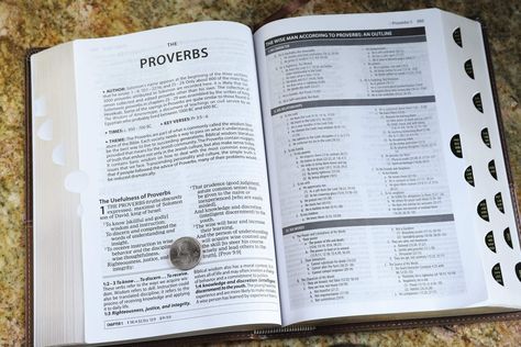 Amplified Bible, Study Bible, Proverbs, Bible Study, Bible, Free Shipping, Books