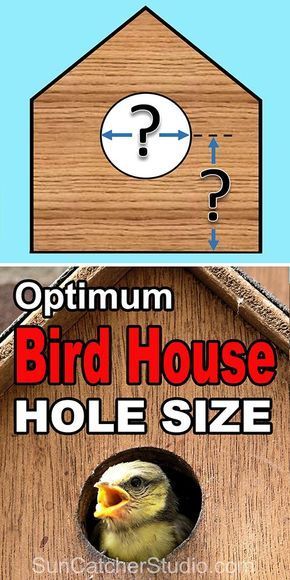 Bird House Plans Free, Bird Feeder Plans, Homemade Bird Houses, Bird Houses Ideas Diy, Bluebird House, Bird House Feeder, Bird House Plans, Unique Bird Houses, Bird House Kits