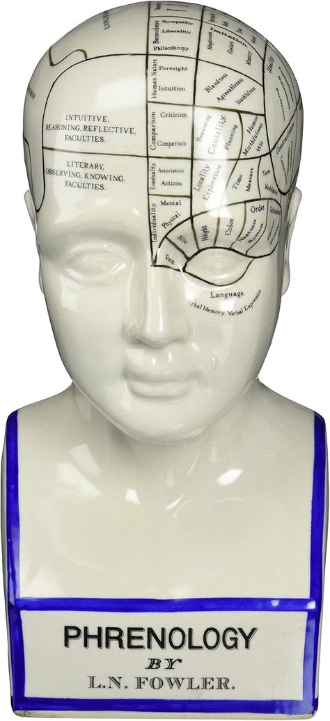 Amazon.com: Design Toscano SP020 Full Size Phrenology Head Bust Fortune Telling Statue, 12 Inch, Porcelain, White : Home & Kitchen Phrenology Head, Head Bust, Design Toscano, Fortune Telling, White Home, Home Kitchen, Porcelain, Statue, White