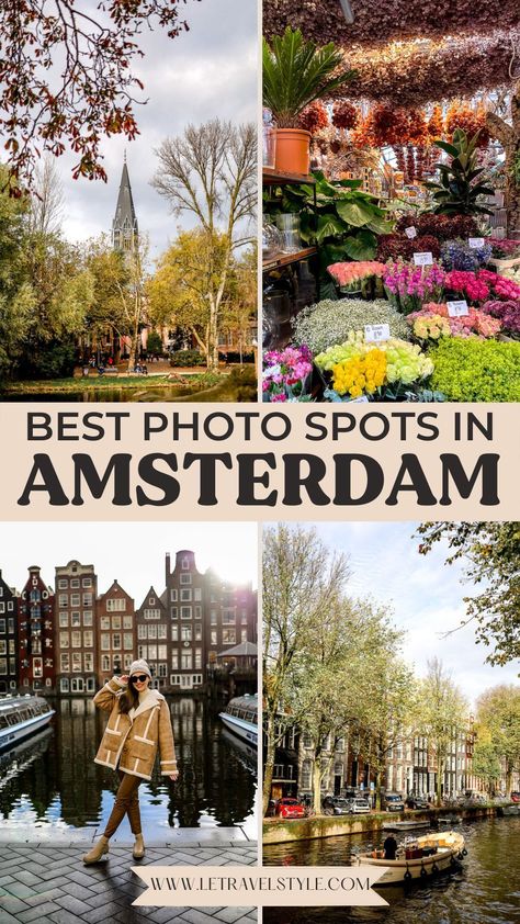 Amsterdam Travel Tips, Netherlands Photography, Amsterdam Tulips, Amsterdam Itinerary, Amsterdam City Guide, Amsterdam Travel Guide, Amsterdam Photography, Photography Examples, Amsterdam Photos