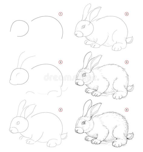 Nature Sketches Pencil, Easy Pencil Drawings, Step By Step Sketches, Arte Doodle, Rabbit Drawing, Animal Drawings Sketches, Nature Sketch, Bunny Drawing, Pencil Drawings Easy