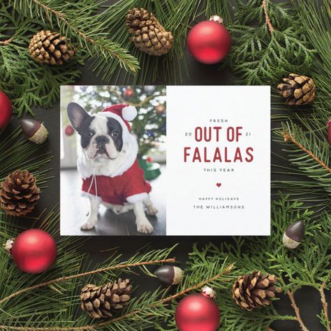 Out Of Falalas Funny Dog Christmas Card #zazzle #weddinginvitations #birthdayinvitations #babyshowerinvitations #zazzleinvitations #monogram #businesscards #graduation #homedecor Pet Holiday Cards, Dog Holiday Cards, Pet Christmas Cards, Christmas Photo Card Template, Funny Holiday Cards, Dog Christmas Card, Funny Christmas Cards, Christmas Invitations, Pet Holiday