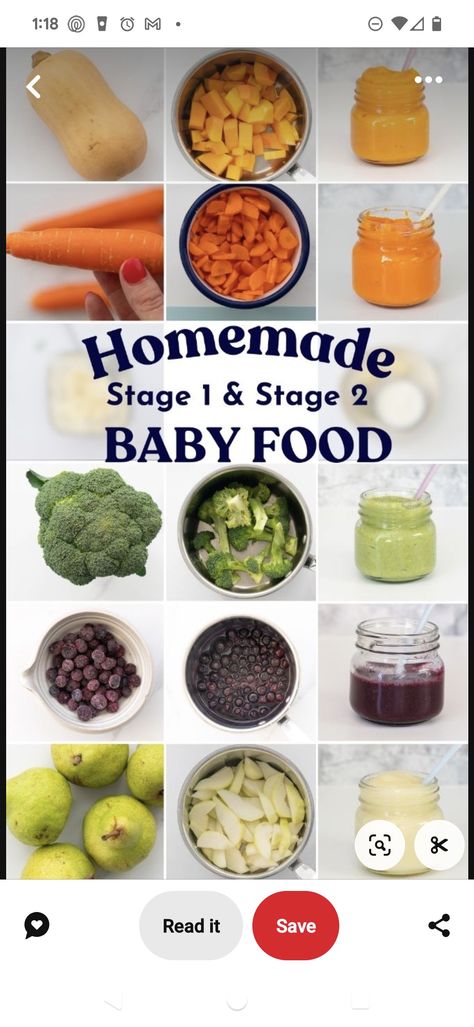 Homemade Purees For Baby, Baby Food Stages Chart, Making Baby Puree, Making Puree Baby Food, Introducing Purees To Baby, Stage 1 Puree Baby Foods List, Carrot Puree For Baby Stage 1, When Do Babies Start Eating Baby Food, Easy Puree Baby Food