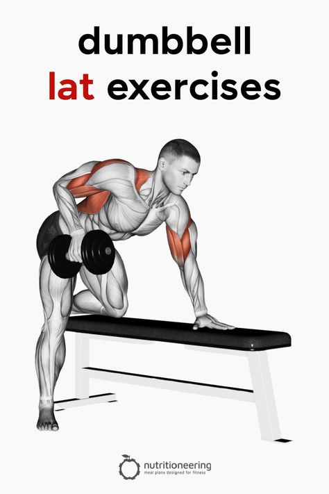 Barbell Lat Workout, Lats Exercises With Dumbbells, Dumbell Lat Workout, Dumbbell Lat Exercises, Lats Workout Dumbbell, Exercises For Lats At Home, Lat Strengthening Exercises, Lat Exercises With Dumbbells, Lat Muscle Workout