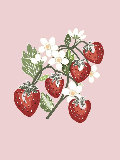 Branches of cute red strawberries, small white flowers and strawberry' leaves with white color outline, hand drawn flat vector retro style, isolated image. Strawberry Branch Drawing, Strawberry Flower Illustration, Strawberry Leaves Drawing, Strawberry Drawing Black And White, Strawberry Flower Drawing, Strawberry Drawing Aesthetic, Strawberry Flower Tattoo, Strawberry Outline, Flower Drawings With Color