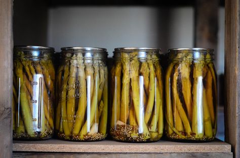 The Best Pickled Asparagus Recipe | The Elliott Homestead (.com) Pickled Asparagus Recipe Canning, Best Pickled Asparagus Recipe, Asparagus Bread, Pickled Asparagus Recipe, Canning Asparagus, Easy Dill Pickle Recipe, Make Dill Pickles, Bread N Butter Pickle Recipe, Pickled Peaches