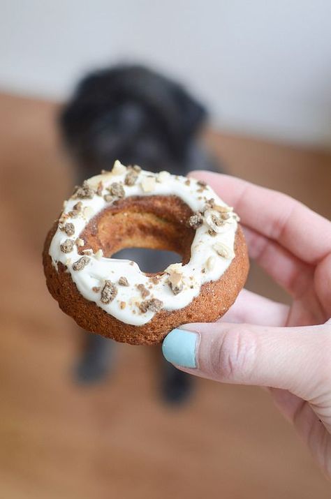 Peanut Butter Dog Doughnuts - treat your pup to a homemade doughnut! Baked Doughnuts Easy, Doughnuts Easy, Fake Ginger, Carrot Dogs, Peanut Butter Yogurt, Doughnuts Recipe, Homemade Doughnuts, Peanut Butter Pumpkin, Pumpkin Dog Treats