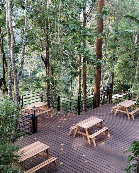 Forest Resort Landscape Design, Nature Resort Design, Nature Resort, Wooden Bridge Garden, Garden Huts, Forest Cafe, Resort Design Plan, Forest Resort, Camping Resort