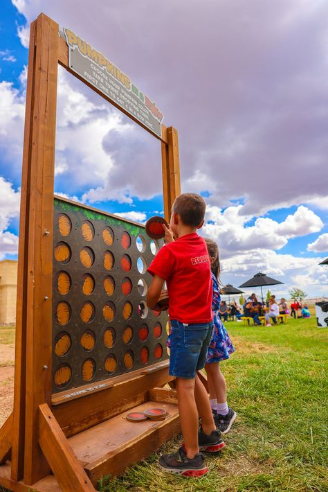 McCall's Farm Pumpkin Patch Ideas Diy, Agrotourism Ideas Farms, Pumpkin Patch Ideas, Diy Pumpkin Patch, Pumpkin Patch Activities, Orchard Ideas, Spring On The Farm, Farm Fest, Agritourism Farms