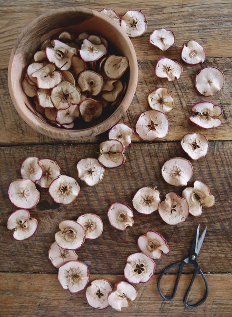 Learn how to make a dried apple garland that is perfect for a fall mantel, and looks good with Christmas greenery too! #driedapples #homedecor Dried Apple Garland, Natural Fall Decor, Apple Garland, Apple Christmas, Christmas Tree Forest, Apple Decorations, Fall Garland, Dried Apples, Fall Mantel