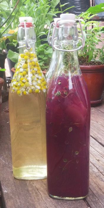 Fig Vinegar Recipes, Herbal Vinegars, Fermented Pineapple, Homemade Vinegar, Fermented Fruit, Fermented Recipes, Fruit Vinegar, Vinegar Recipes, Vinegar Salad