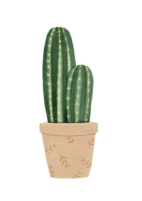 Cactus Indoor, Kaktus Dan Sukulen, Garden Cactus, Cactus Drawing, Indoor Cactus, Cactus Illustration, Cactus Painting, Plant Wallpaper, Cactus Art