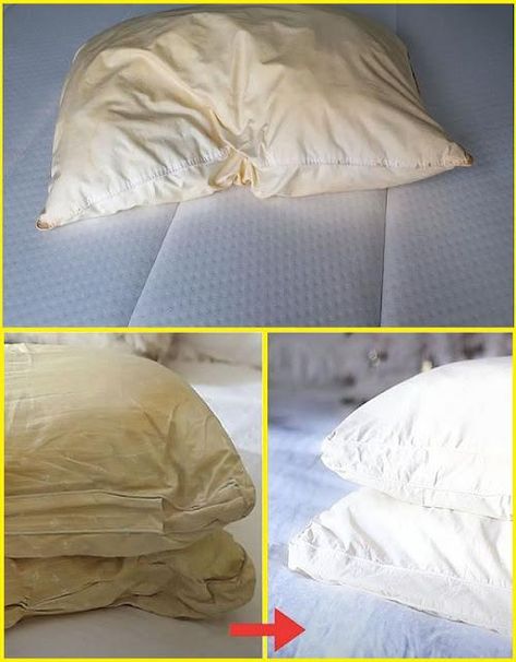 Here’s how to clean dirty pillows from bed to leave them white and sweet scent… Vinegar Washing Machine, Cleaning Pillows, Brighten Whites, Cleaning With Bleach, Heavenly Recipes, Grandma Cooking, Clean Bed, Cleaning Methods, Wash Pillows