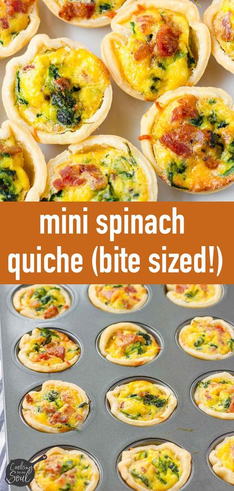 Mini Spinach Quiches Mini Spinach Quiche Recipes Easy, Mini Quiche Bites, Quiche Bites Recipes, Quiche Recipes Mini, Quiche Muffin Recipes, Mini Spinach Quiche, Individual Quiche, Camping 2023, Mini Quiche Recipe