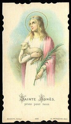 Patron Saint Of Animals, Friend Of God, St Agnes, Catholic Images, Catholic Gifts, Flower Border, Prayer Cards, Patron Saints, Blessed Mother