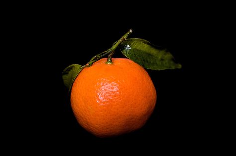 Ripen-tangerine-on-black-background Fruit Black Background, Food References, Painting Still Life, Blood Orange, Light And Shadow, Black Background, Orange Black, A Black, Black Backgrounds