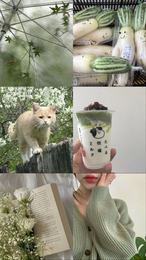 japanese green aesthetic wallpaper green tea cat Japanese Green Tea Aesthetic, Green Tea Wallpaper Aesthetic, Matcha Iphone Wallpaper, Japanese Green Aesthetic, Matcha Green Aesthetic Wallpaper, Layout Green Aesthetic, Green Japanese Aesthetic, Green Japanese Wallpaper, Matcha Aesthetic Wallpaper