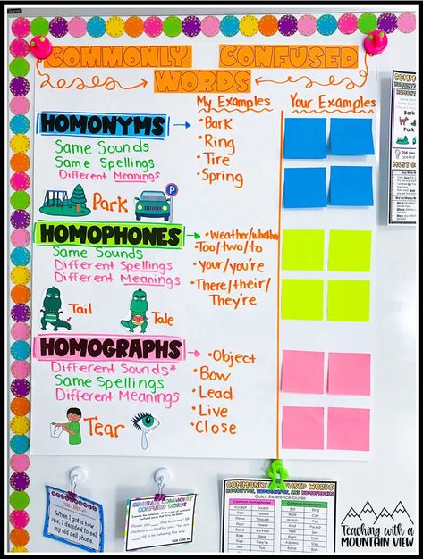 How To Teach Commonly Confused Words in Upper Elementary - Teaching with a Mountain View Homographs Anchor Chart, Homophones Anchor Chart, Teaching Prefixes, Informational Text Structures, Teaching Main Idea, Commonly Confused Words, Chart Paper, Elementary Books, Multiple Meaning Words