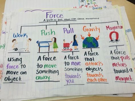 Force Anchor Chart, Science Kindergarten, Science Websites, Grade 3 Science, Science Chart, Science Anchor Charts, Second Grade Science, 7th Grade Science, 1st Grade Science