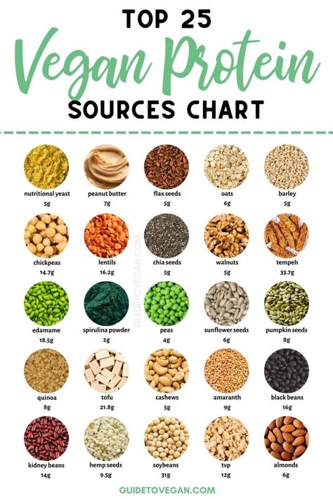 vegan protein sources chart Essen, Vegan Protein Sources Chart, Best Vegan Protein Sources, Best Vegan Protein Powder, Plant Based Protein Sources, Vegetarian Protein Sources, Best Vegan Protein, Vegan Protein Sources, Vegetarian Protein