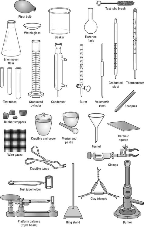 Diagram of common lab equipment, such as an Erlenmeyer flask, beaker and condenser, among others. Chemistry Lab Equipment, Chemistry Projects, Chemistry Basics, Erlenmeyer Flask, Study Chemistry, Science Equipment, Ap Chemistry, Chemistry Set, Lab Instruments