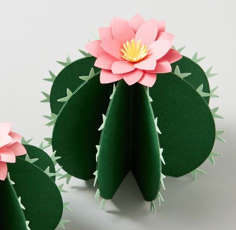 Taco Party Centerpiece Ideas, Cactus Classroom Bulletin Board, Cactus Party Centerpieces, Paper Cactus Diy, Cactus Paper Craft, Cardboard Cactus, Cowboy Party Decorations, Diy Cactus, Paper Cactus