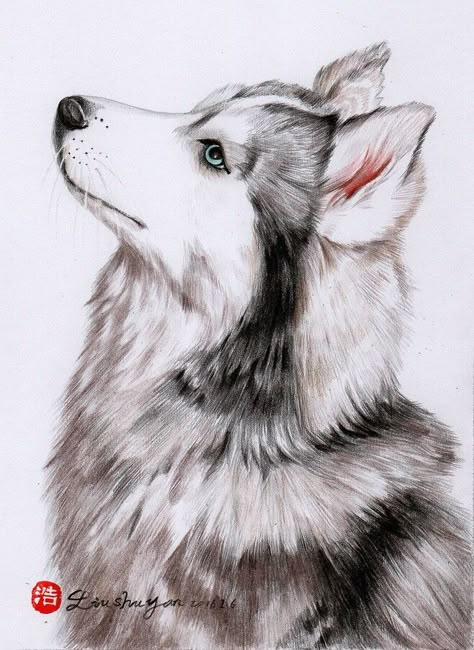 Husky Drawing, Dog Portrait Drawing, Malamute Husky, Dibujos Toy Story, Abstract Tree Painting, Dog Canvas Art, Animal Drawings Sketches, Pen Art Drawings, Dog Sketch