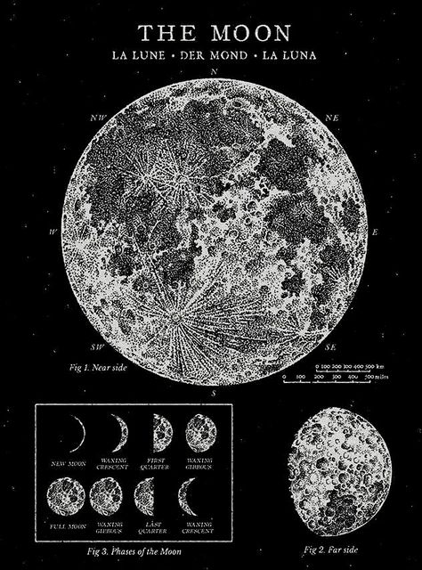 LA LUNE • DER MOND • LA LUNA 🌕 THE MOON 🌕 Vintage Astronomy Prints, Moon Map, Printable Wall Collage, Grunge Posters, Astronomy Poster, 달력 디자인, Picture Room Decor, Astronomy Art, Vintage Poster Design