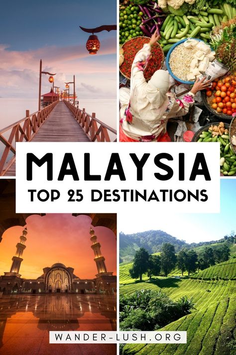 Places To Visit In Malaysia, Food Malaysia, Malaysia Itinerary, Malaysia Travel Guide, Malaysia Tour, Malaysia Food, Travel Malaysia, 2024 Travel, Asia Trip