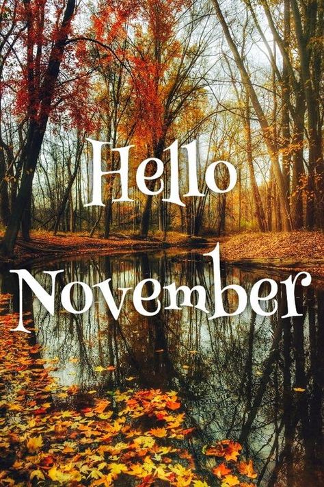 Hello November .... Hallo November, November Pictures, November Images, Neuer Monat, Welcome November, November Quotes, November Wallpaper, Seasons Months, Monthly Quotes