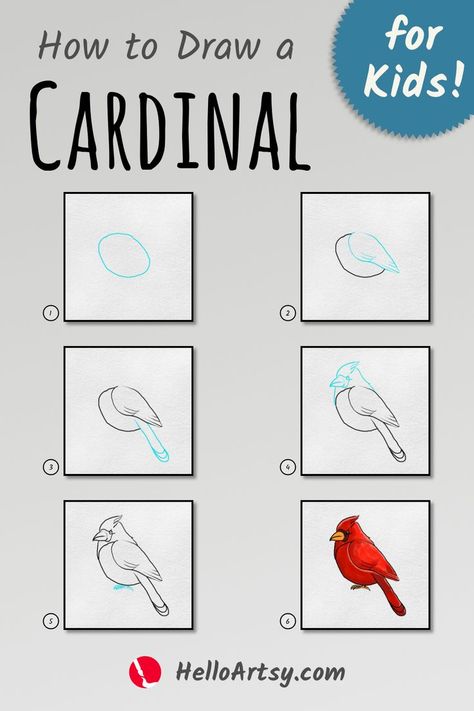 Draw cardinal step by step. | how to draw a cardinal in 6 easy steps. | Follow along with each picture to create a how to draw a cardinal. Perfect for beginners who desire to learn how to draw! Draw A Cardinal, Bird Drawing For Kids, Cardinal Drawing, Simple Bird Drawing, Prek Crafts, Cardinal Painting, Drawing Lessons For Kids, How To Draw Steps, Drawing Lesson