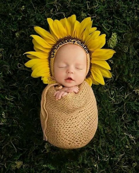 I’m in love with sunflowers. This is everything. Gosh I need and want a girl. Foto Newborn, Sunflower Baby Showers, Newborn Pics, Newborn Baby Photoshoot, Silicone Baby Dolls, Adorable Babies, Baby Reveal, Newborn Baby Photography