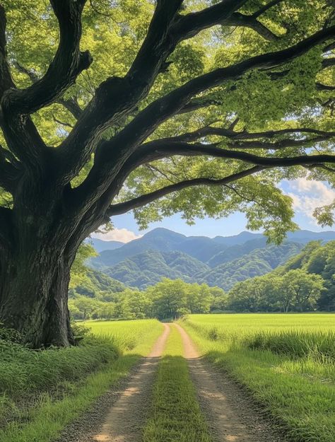 Pretty Landscapes, Dirt Road, Alam Yang Indah, Nature Aesthetic, Pretty Places, Country Life, 그림 그리기, Nature Pictures, Pretty Pictures