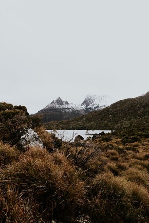 DESTINATION FEATURE // Tasmania - Elope Nature, Cradle Mountain Tasmania, Cradle Mountain, Bucket List Vacations, Tasmania Australia, Wine Trail, Farm Tour, Perfect Itinerary, Nature View