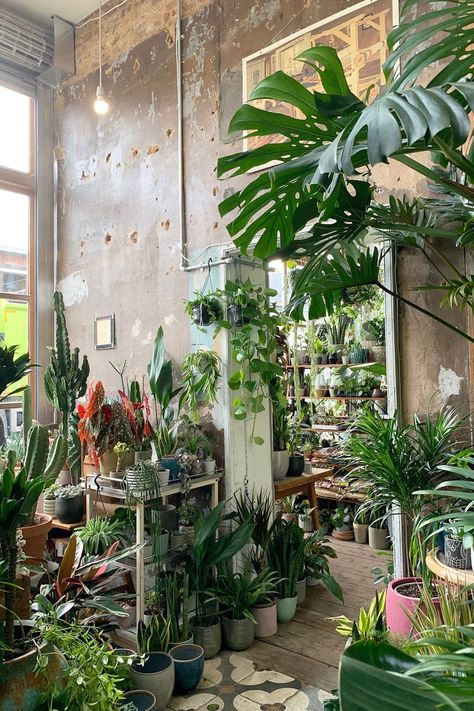 Things to do in Hackney Central: A local's guide | CN Traveller Urban Jungle Bedroom, Interior Inspiration Living Rooms, Hackney London, Jungle Room, City Illustration, Room Inspiration Bedroom, Local Guide, Balcony Garden, Urban Jungle