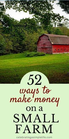 Permaculture, Farmette Small Farm, Tree Farm Ideas, Country Lifestyle Farm Life, Make Money Homesteading, Farm Market Ideas, Farm Tips, Homestead Layout, Starting A Farm